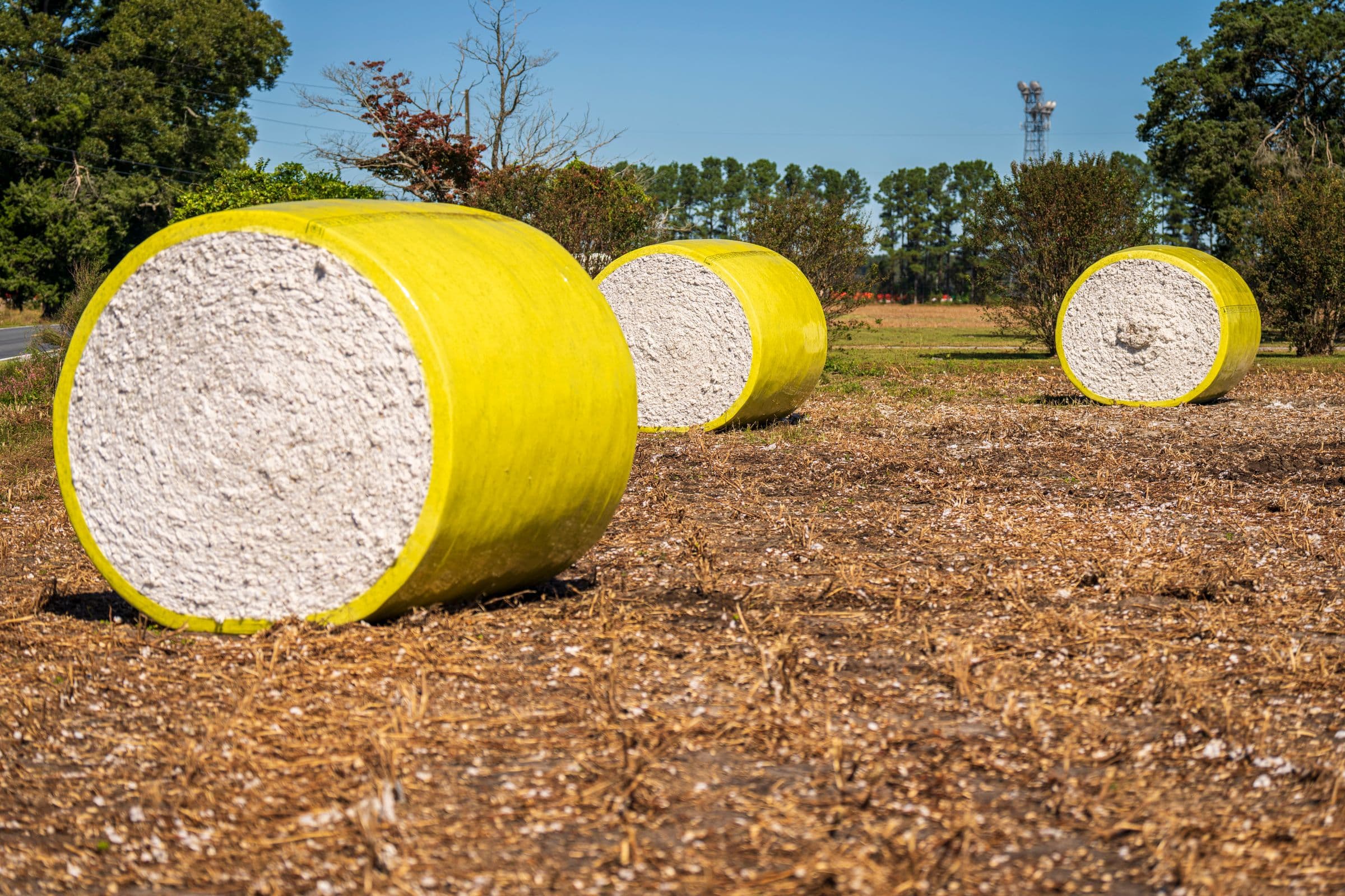 Yellow-wrapped cotton modules on a harvested field near Stanton, TX